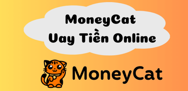 review-moneycat