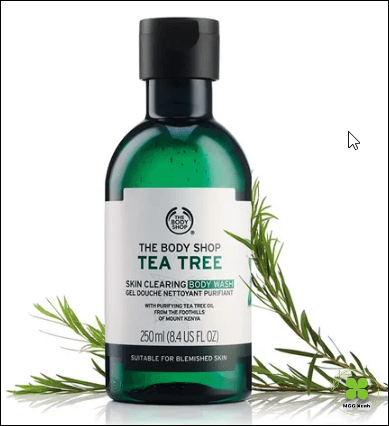 sua-tam-the-body-shop-tea-tree-body-wash