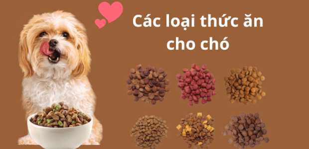 cac-loai-thuc-an-cho-cho